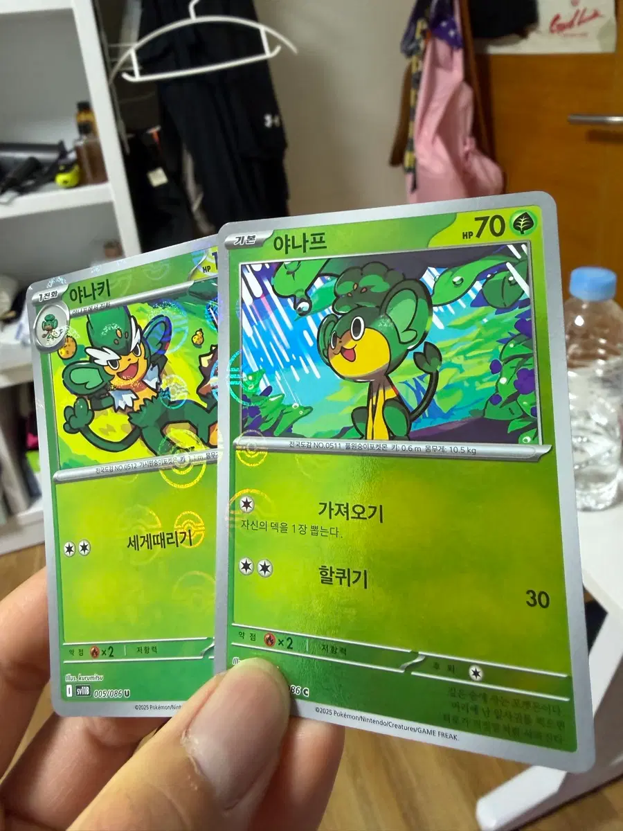 야나프 몬볼2장,야나키 몬볼 1장, 앗차프마볼 1장,앗차프 몬볼1장 일괄판매