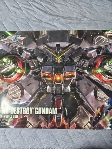 HG 1/144 디스트로이 건담