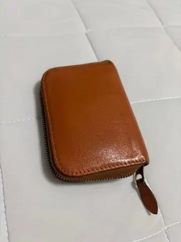 IL BISONTE 키케이스 동전 지갑 가죽 브라운