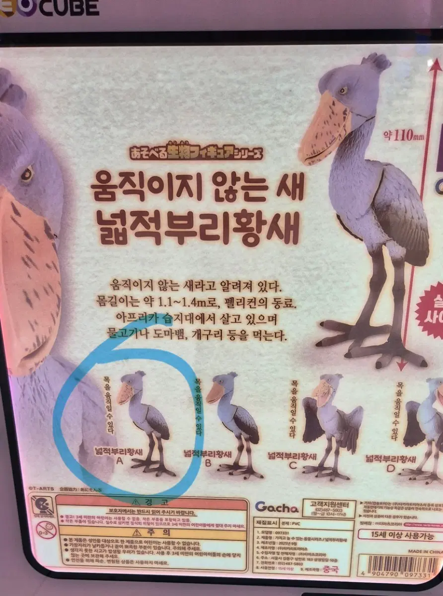 움직이지 않는 새 넓적부리황새 피규어 가챠