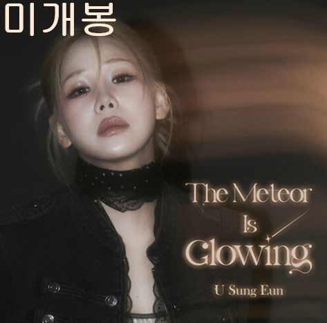 유성은 - The Meteor Is The Glowing [한정반] (미개봉, CD)