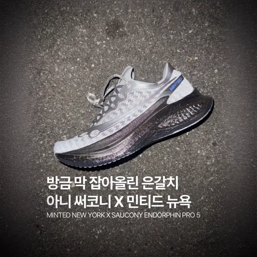 [새상품]써코니 x 민티드 뉴욕 _ 엔돌핀 프로5 실버 290