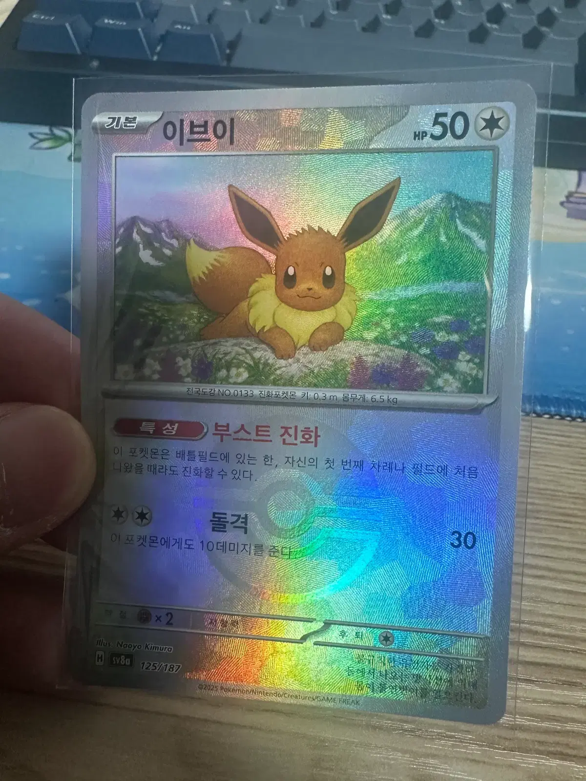 이브이 몬스터볼 카드 팝니다!!