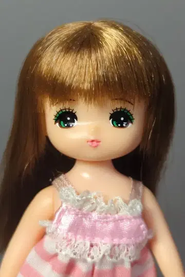 타카라토미 리카짱 패밀리 아오이짱