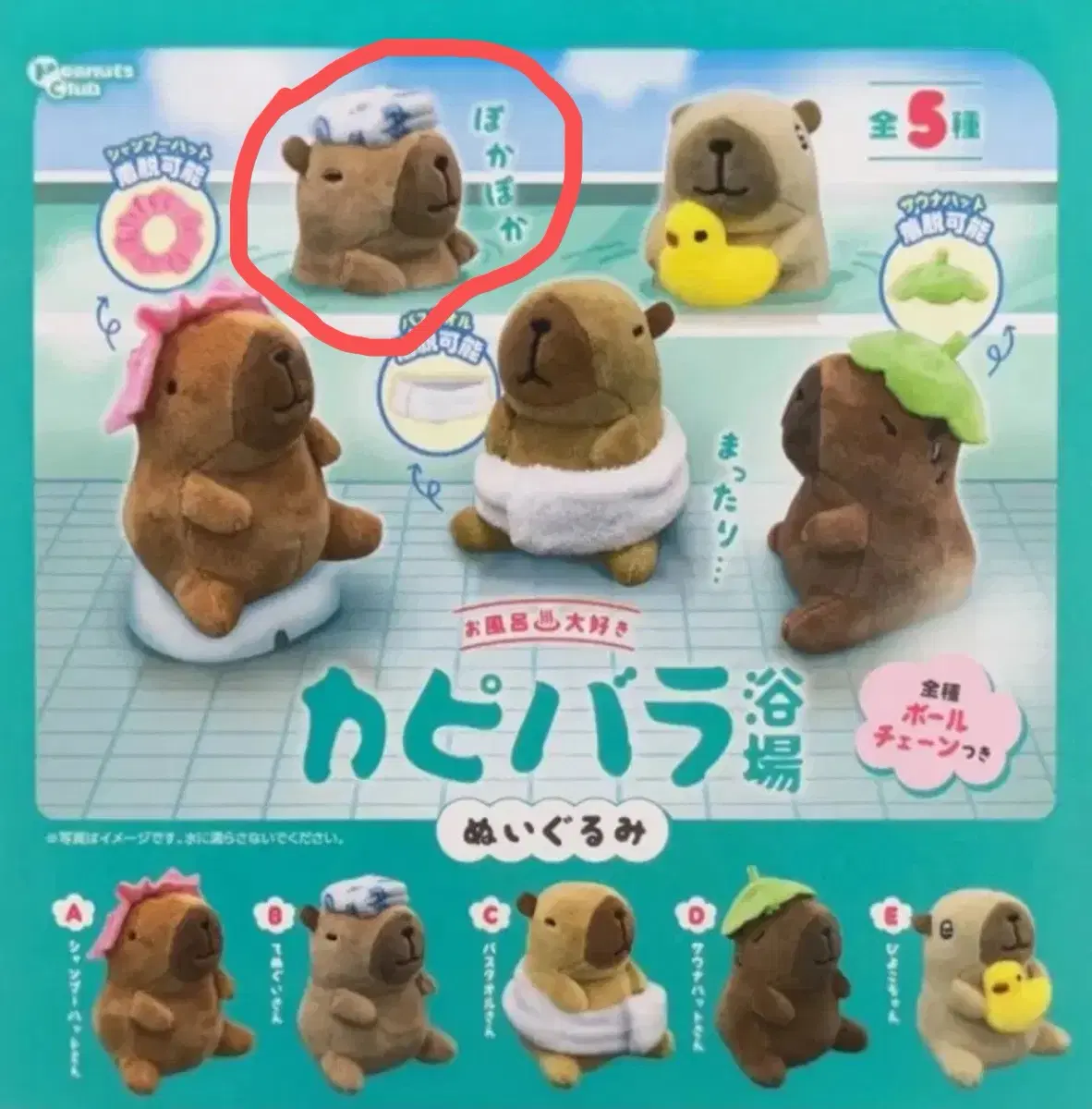 카피바라 인형 키링 가챠 목욕탕 누이구루미