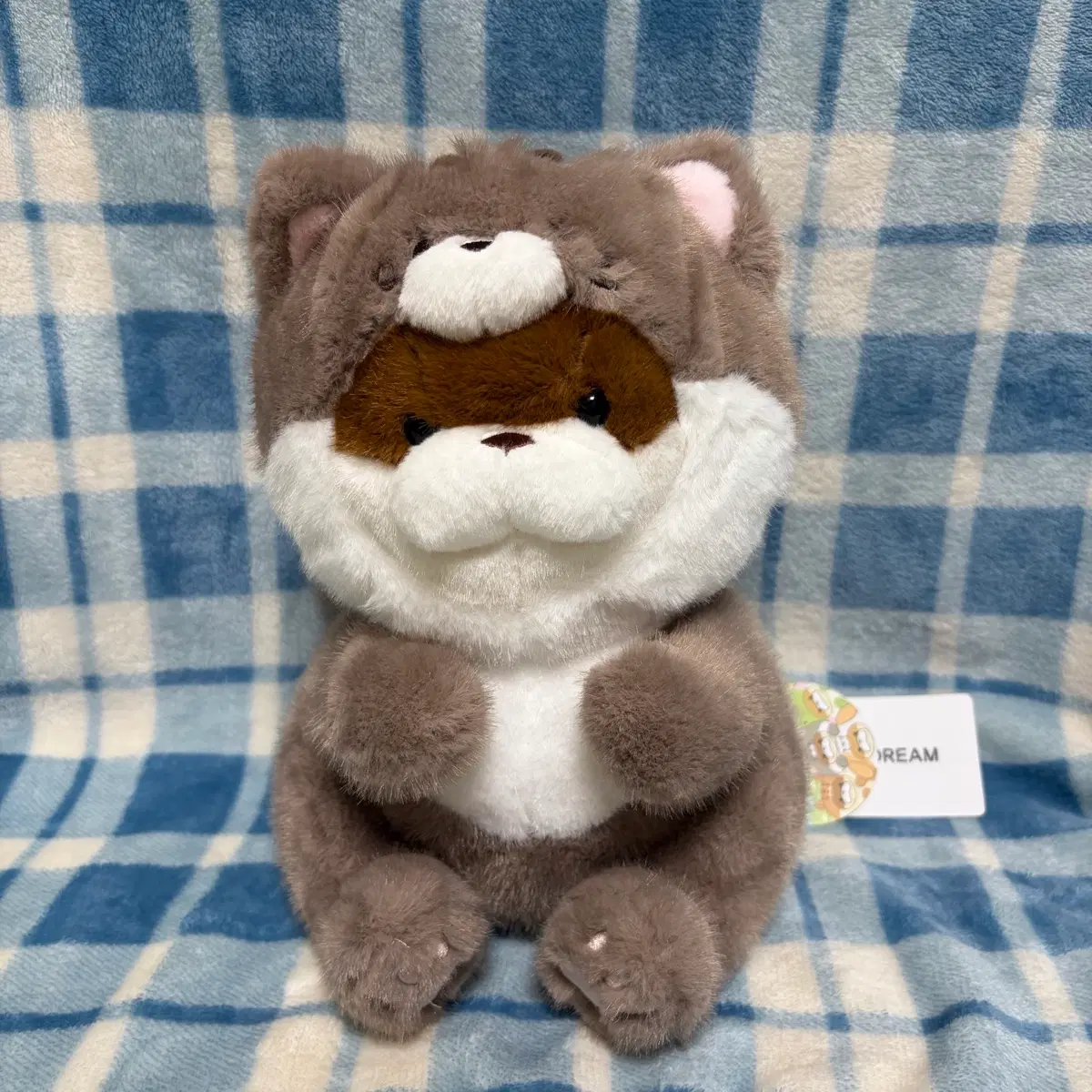 동물코스튬 우소우소짱 (고양이, 25cm) 인형