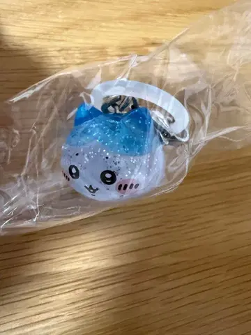 치이카와 파크 메지루시 입장 혜택