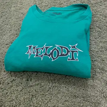 ecmelodi punkandyo fti L 사이즈