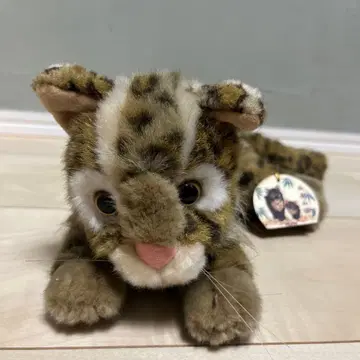 이리오모테 고양이 봉제 인형 매우 튼튼한 제작 레어