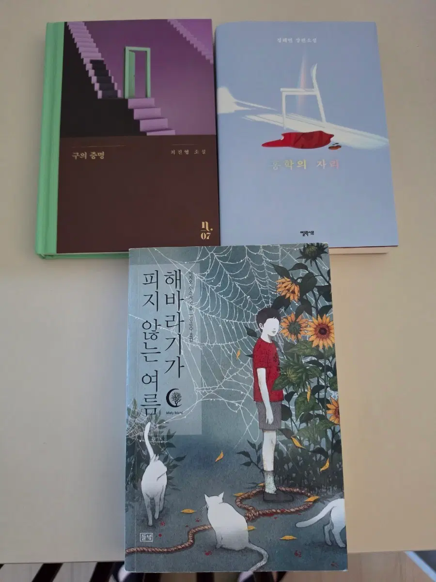 해바라기가 피지 않는 여름