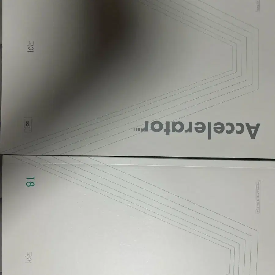 시대인재 수능 국어 엑셀러레이터 17, 18권