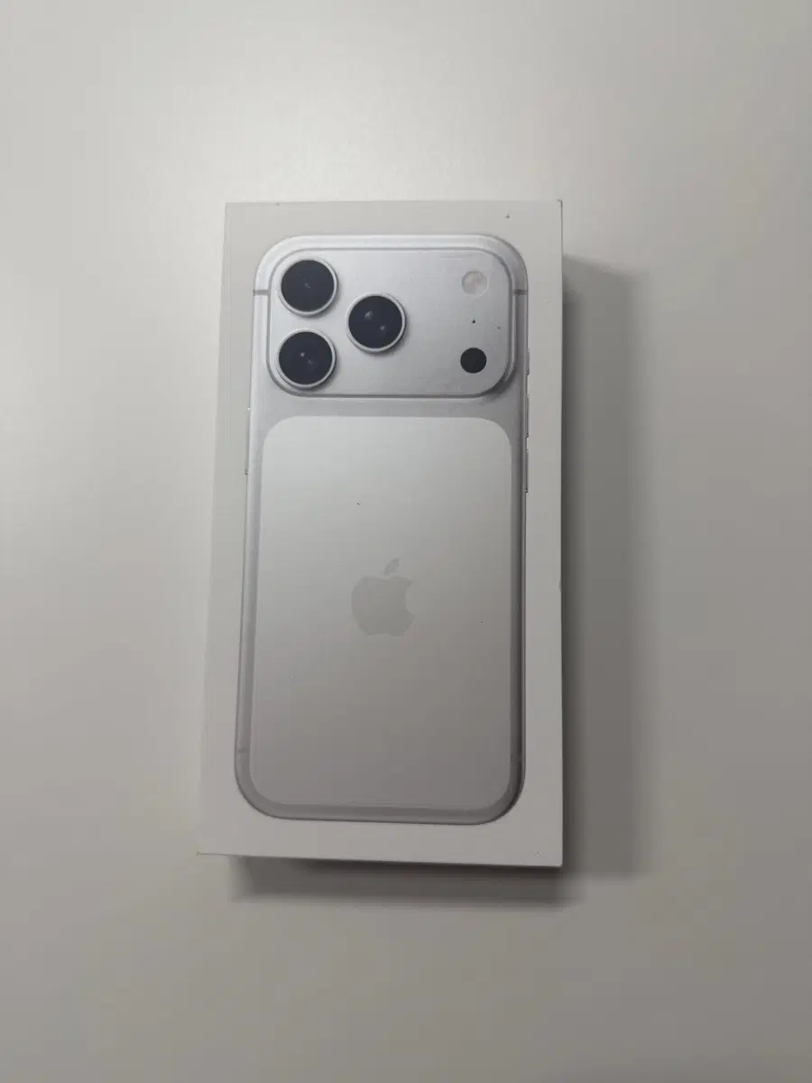 Apple 아이폰 17 Pro 실버 256GB