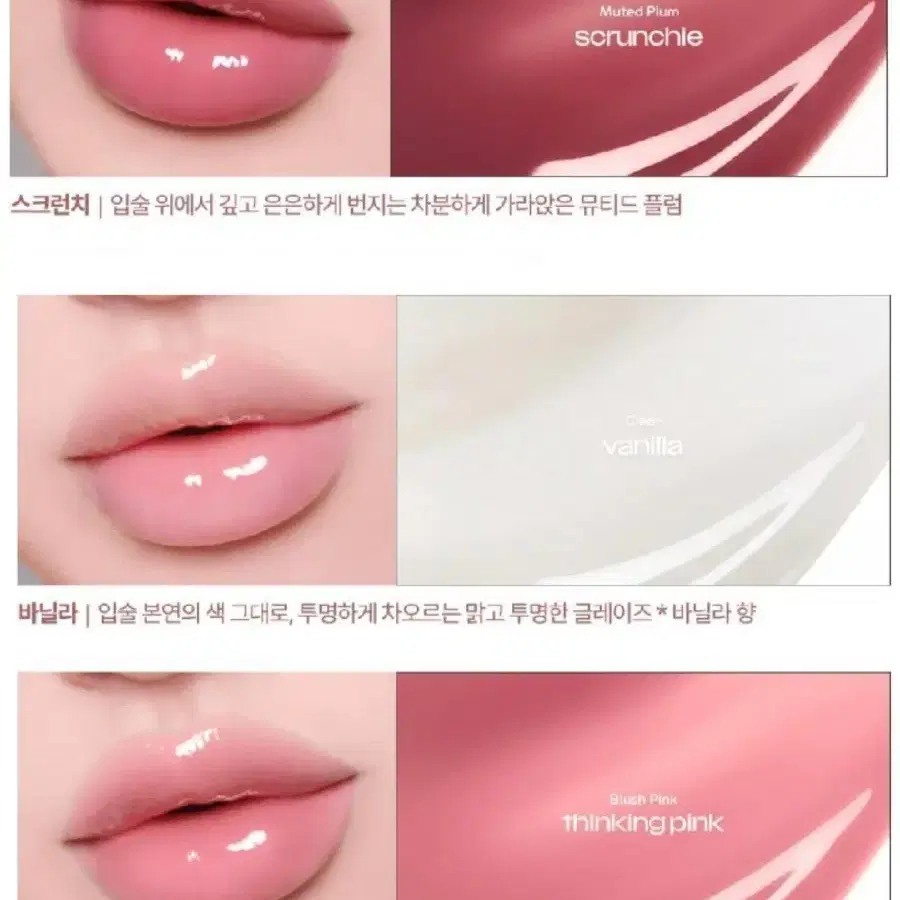 썰튼 스크런치 바닐라 띵킹핑크 립 버터밤 썰튼액센츠