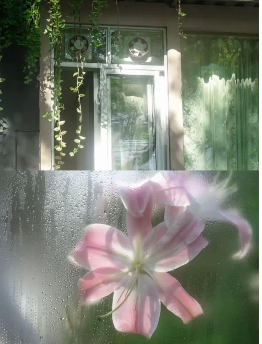 아이폰 7 구매해요 구해요 사요