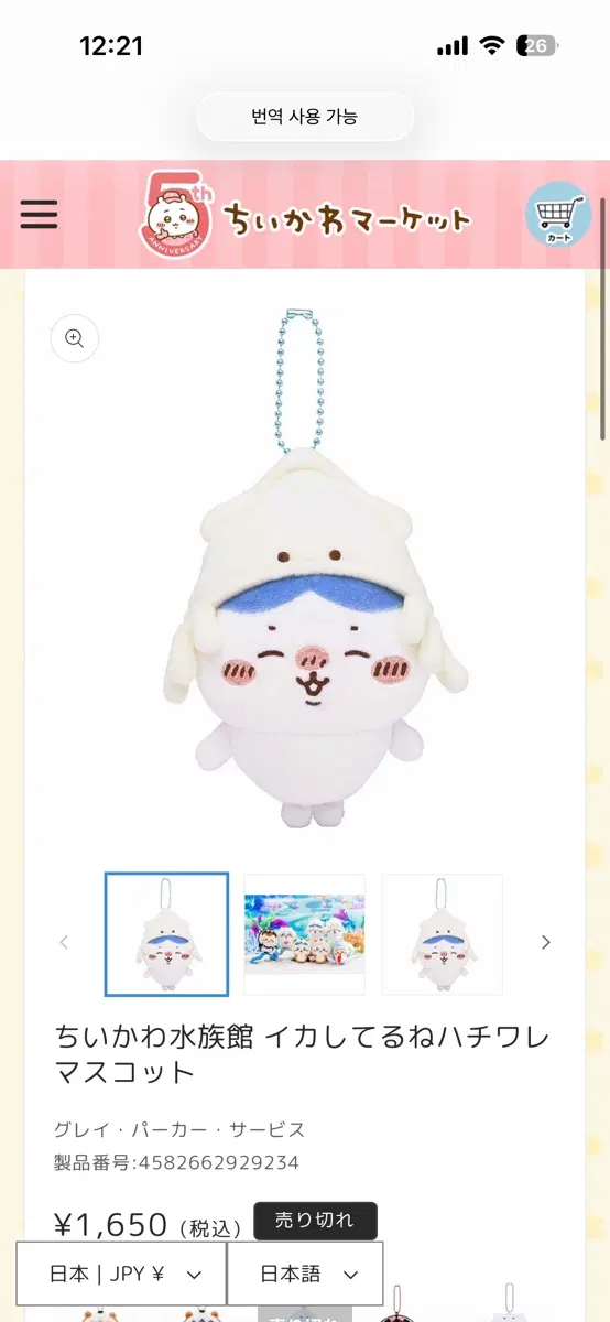 수족관 오징어가 된 하치와레 인형 마스코트
