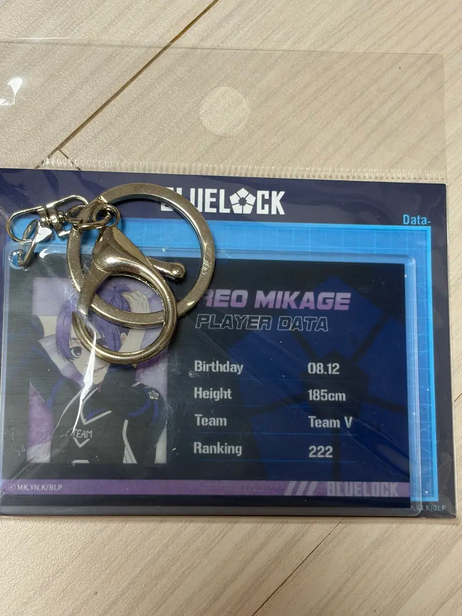 미카게 레오 카드 아크릴 키홀더 미개봉 애니플러스 콜라보