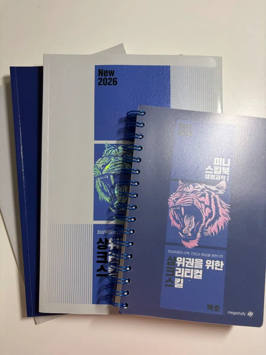 2026 메가스터디 백호 상크스