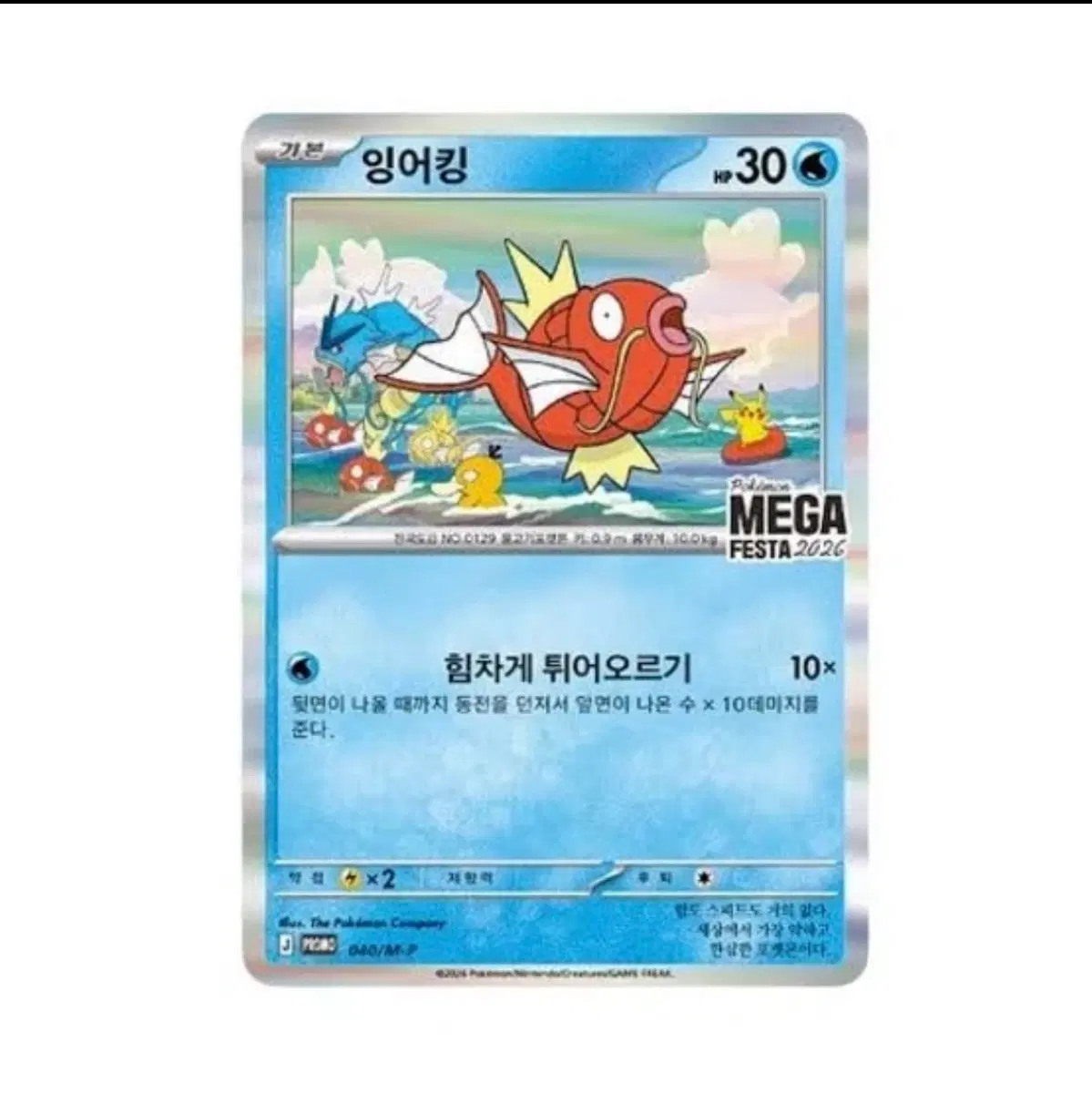 잉어킹카드랑 맥도날드 피카츄 매가개굴닌자