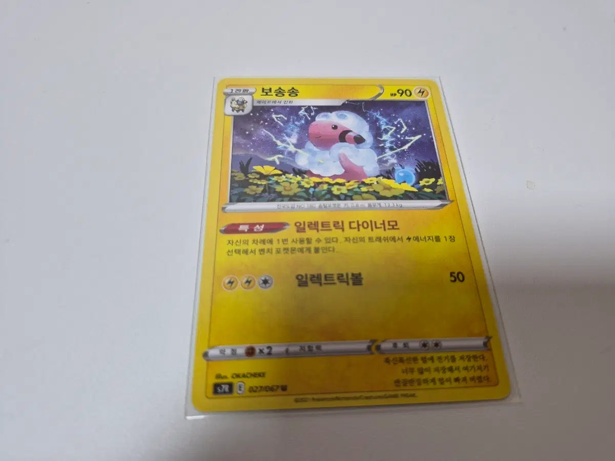 포켓몬 카드 보송송