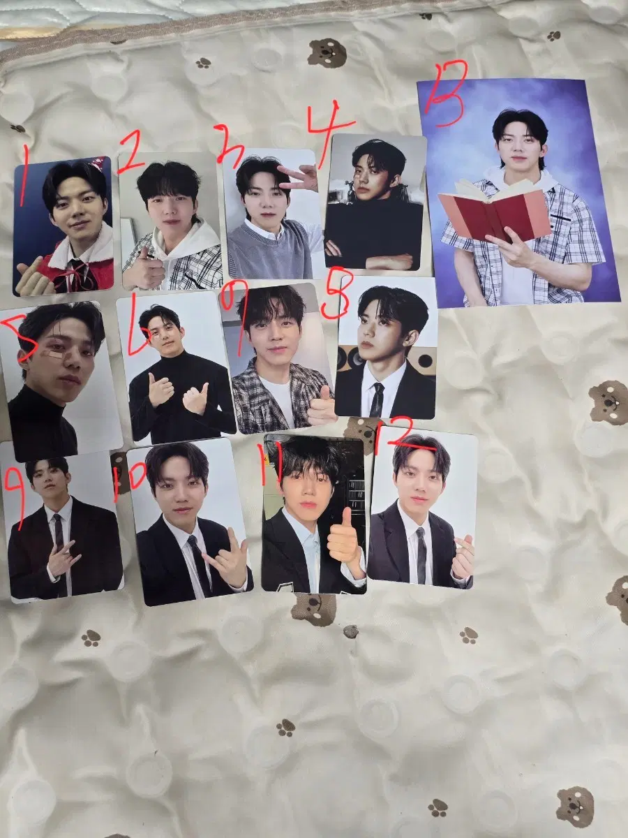 데이식스 도운 포카