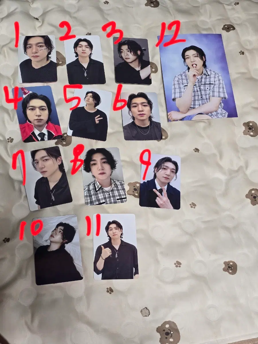데이식스 성진 포카