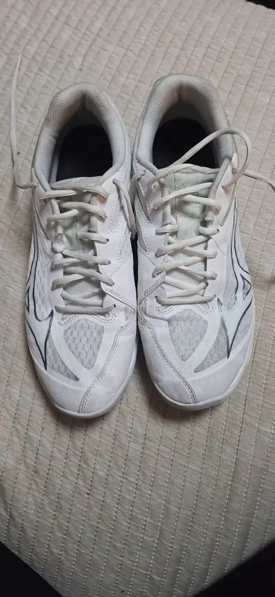 미즈노 썬더블레이드 Z 운동화 V1GC237035 (275)