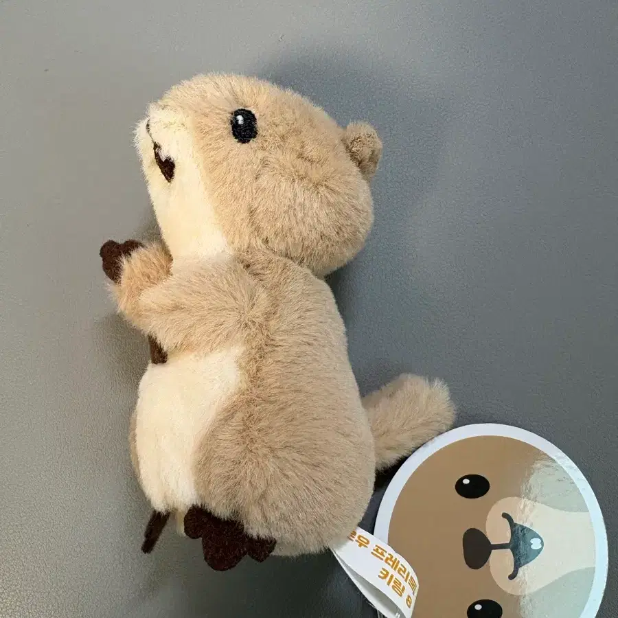 헬로우 프레리독 인형 키링