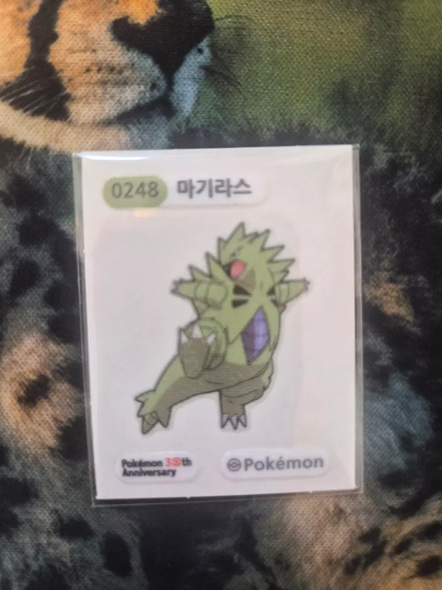 마기라스 띠부씰 30주년