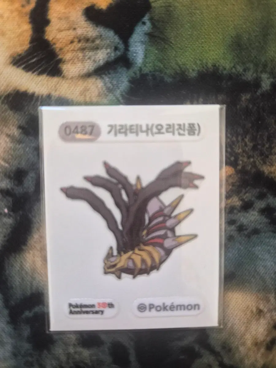 기라티나 띠부씰 30주년