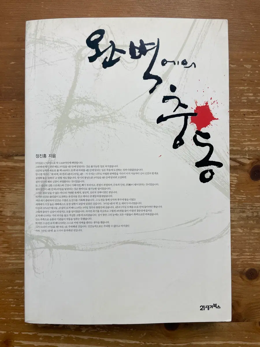 완벽에의 충동 - 정진홍