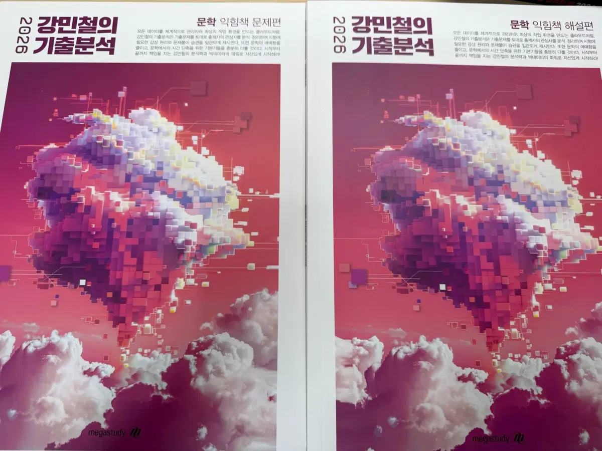 새책 2026 강기분 문학 익힘책 문제편, 해설편