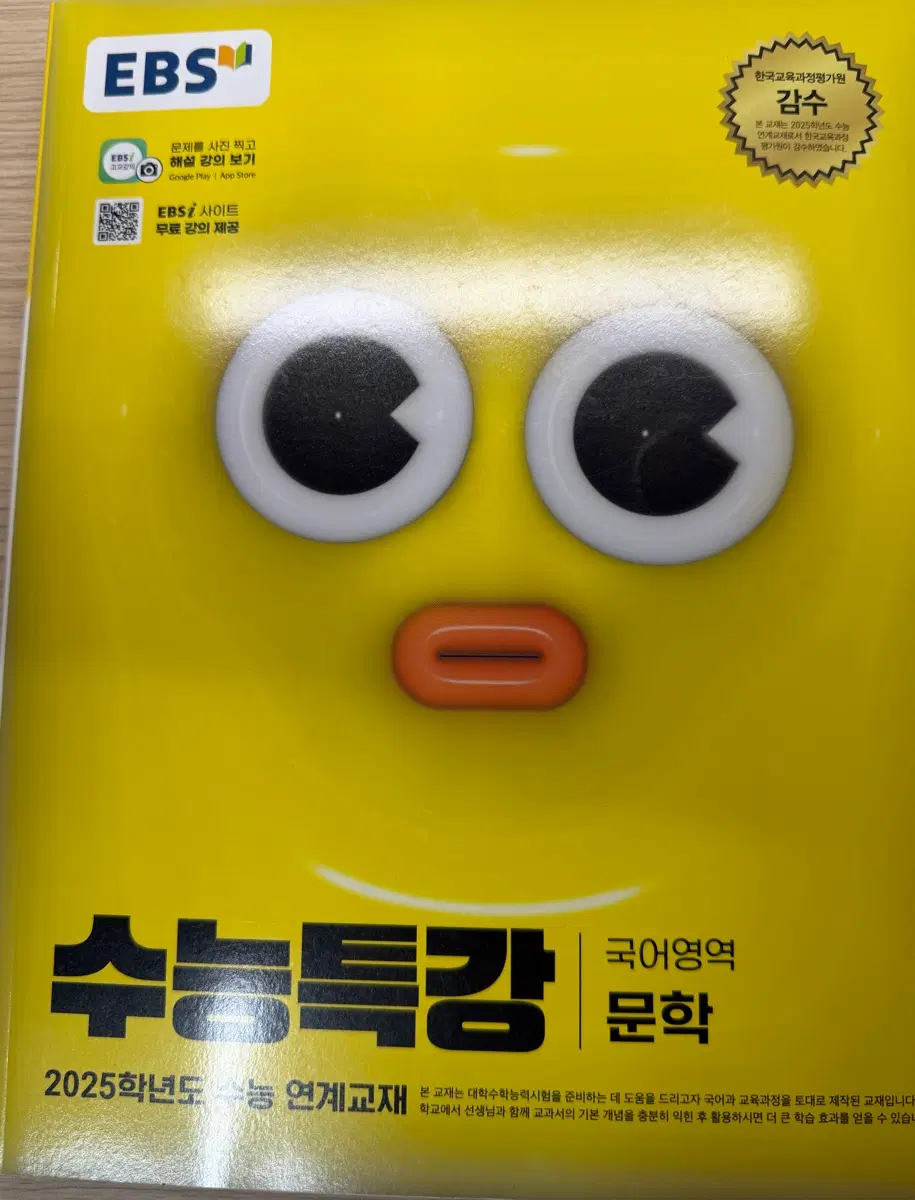 새책 2025 수능특강 국어 문학