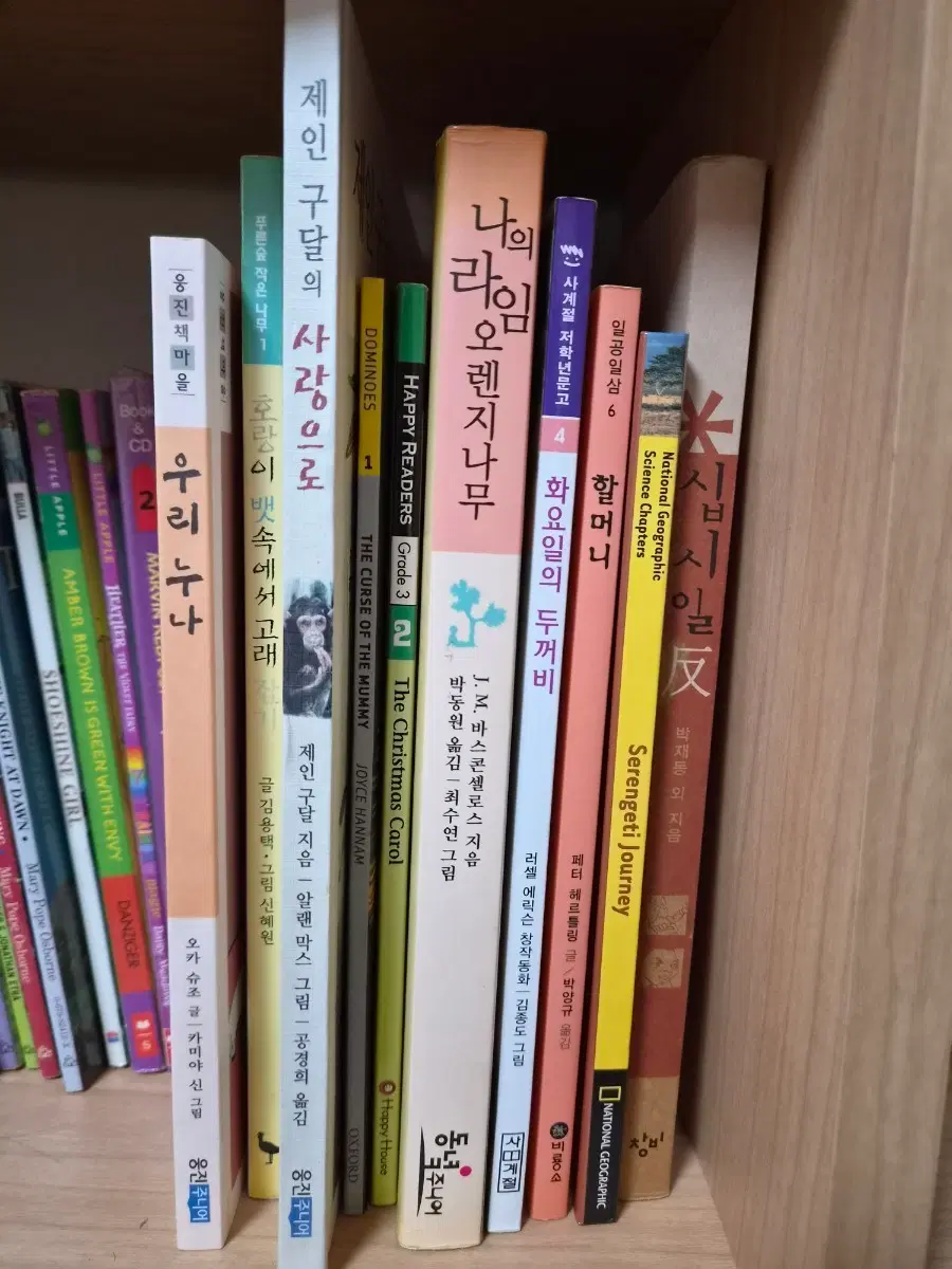 아동도서 다수