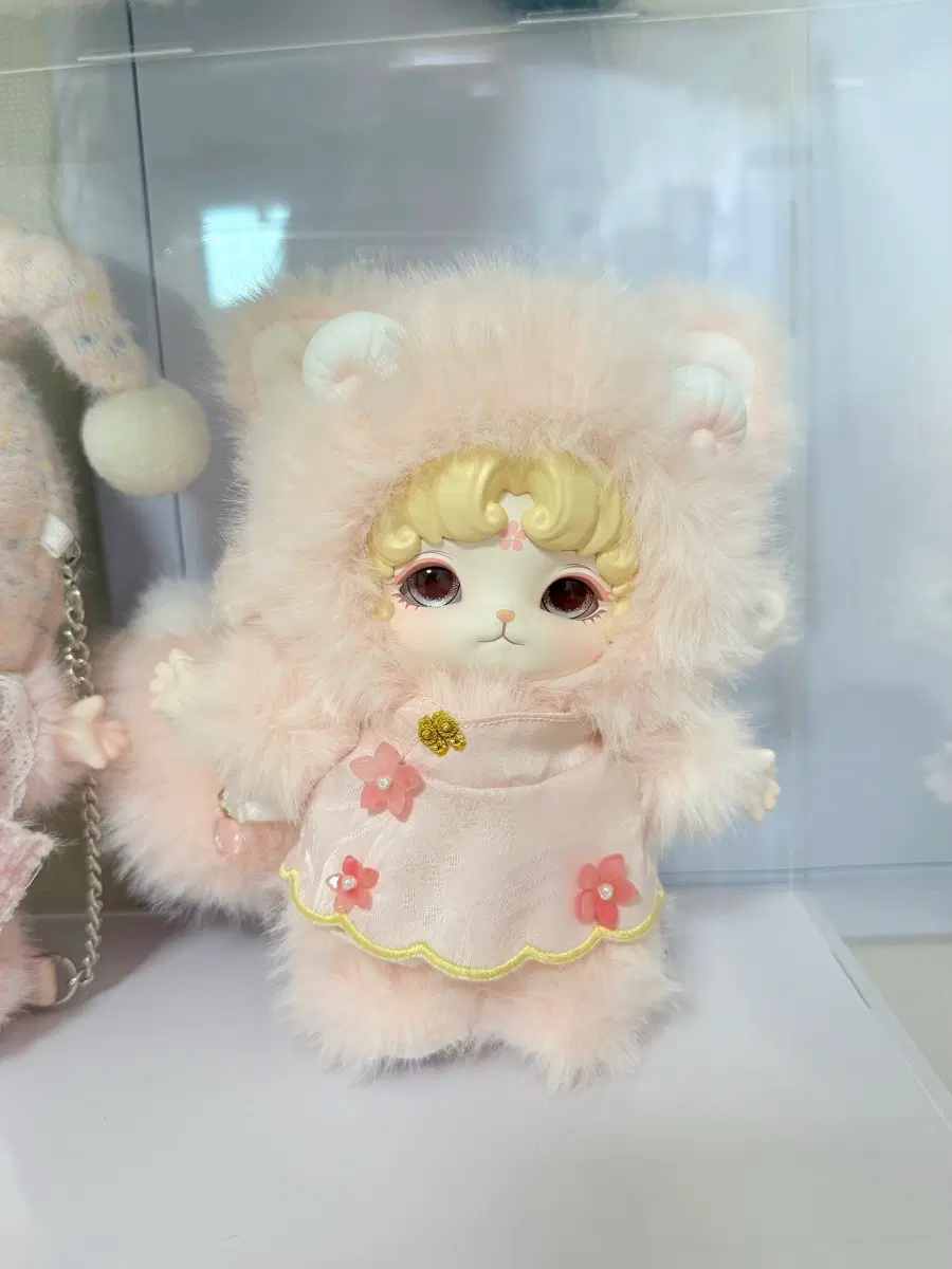 (정품) 미주안 한정판