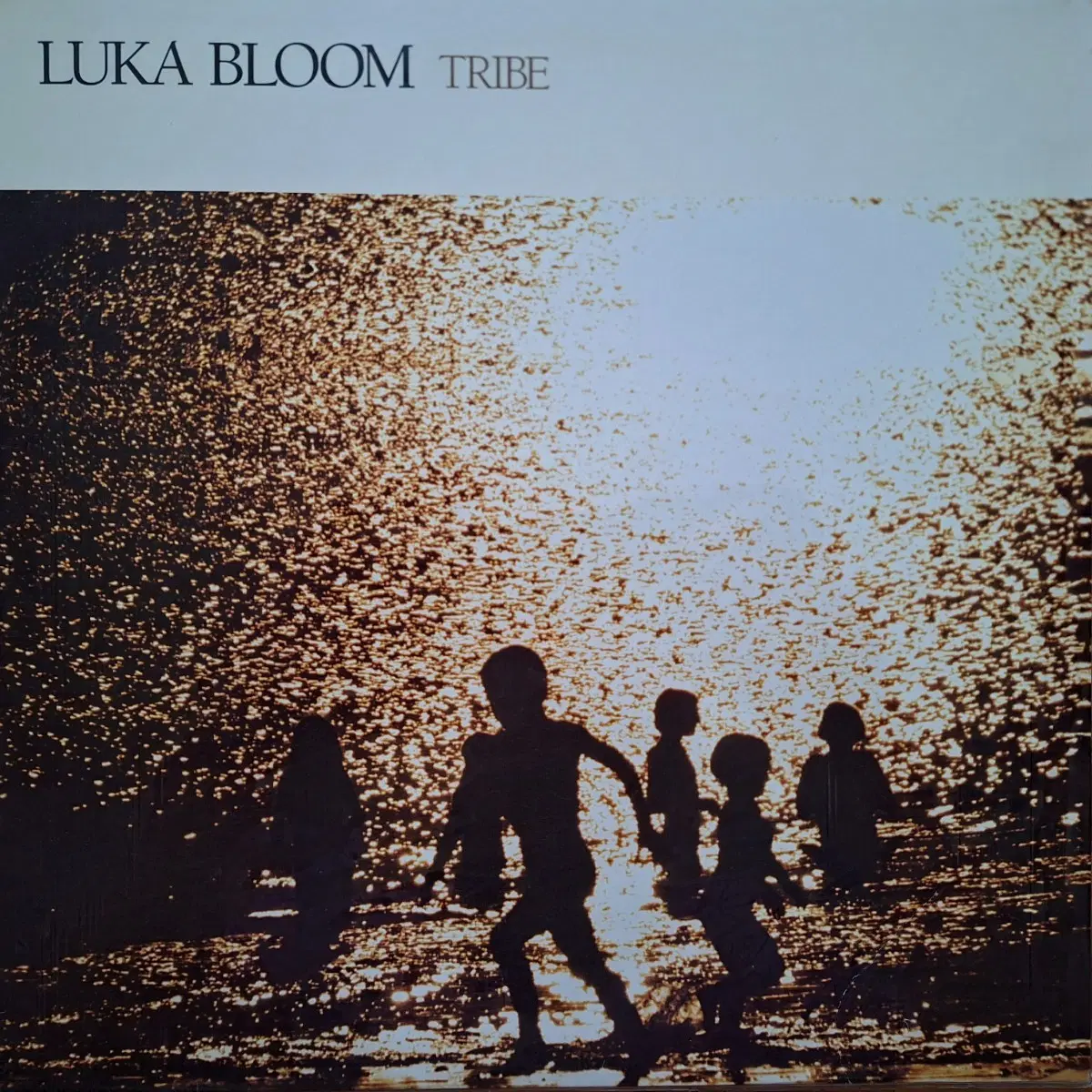 수입반/한정판/Luka Bloom - Tribe LP