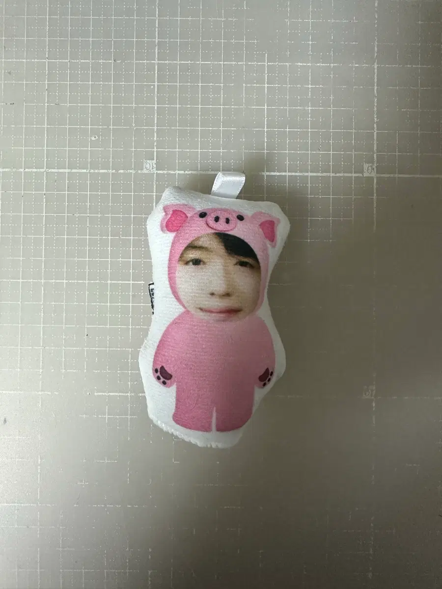 정상현 돼지 인형 양도