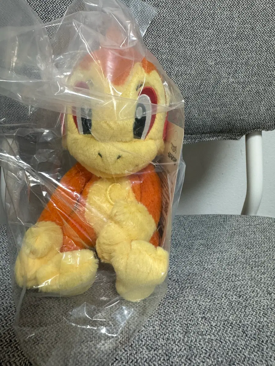 포켓몬스터 30주년 쿠지 불꽃숭이 인형