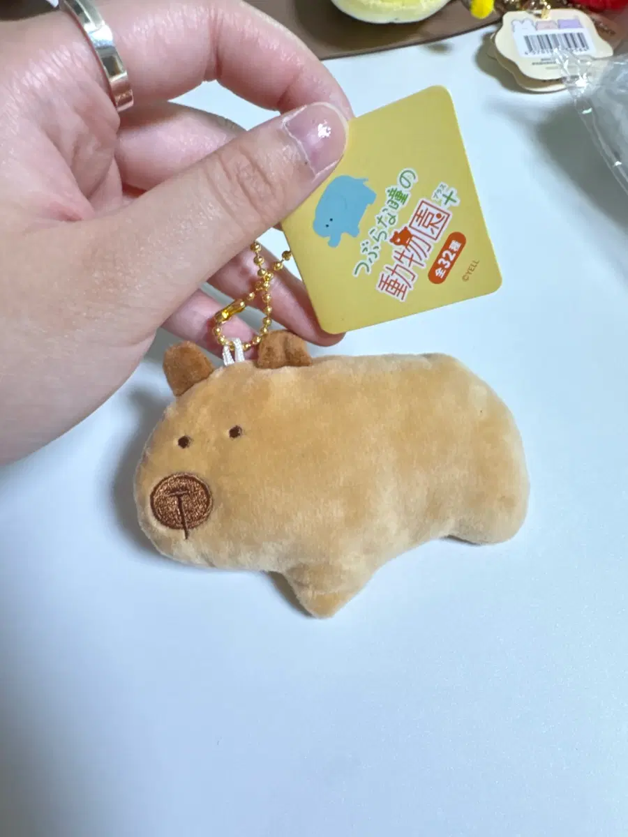 콩눈이 인형 카피바라 새상품 택O 판매중
