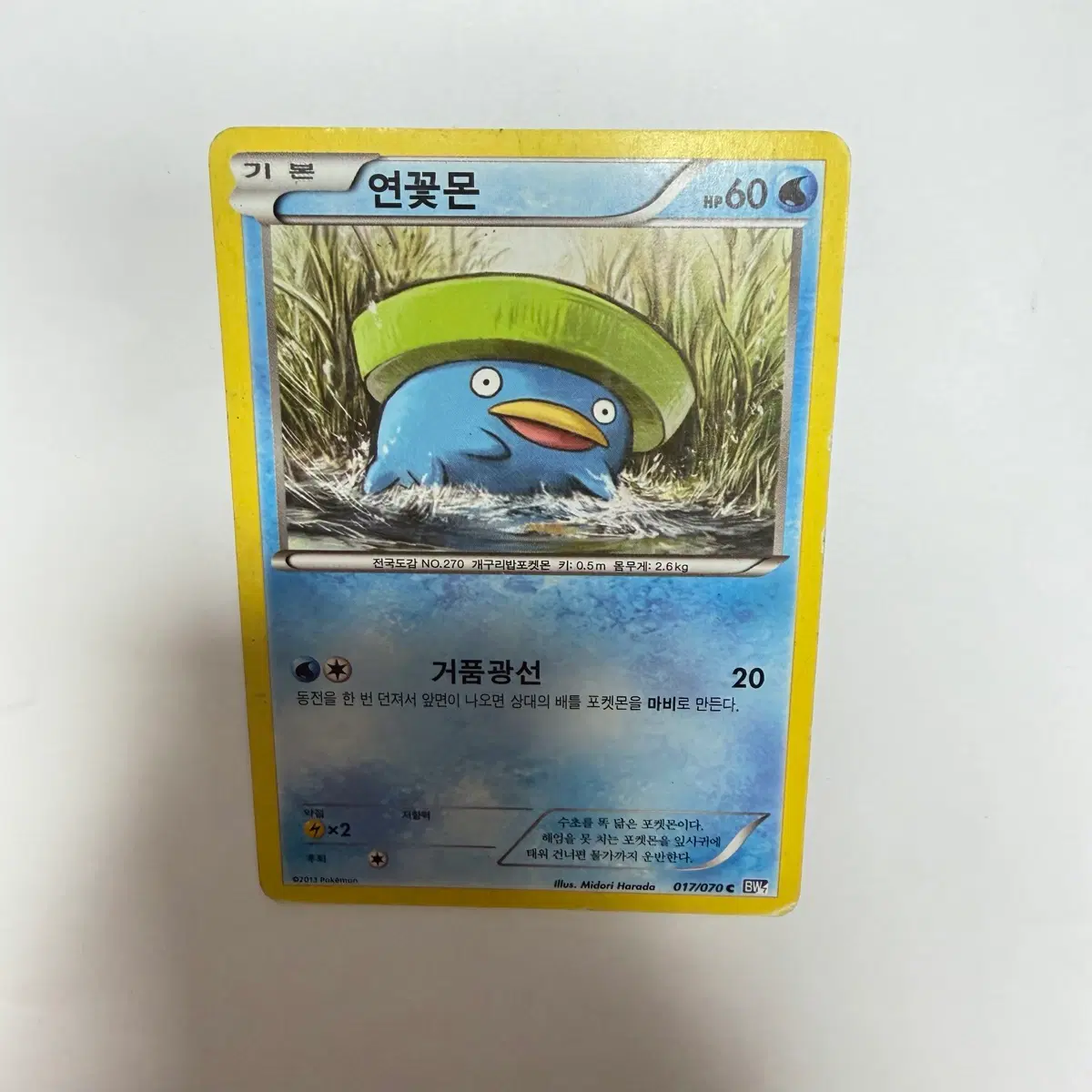 연꽃몬 포켓몬카드