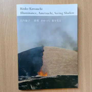 코우치 린코 조도 아메츠치 그림자를 보다