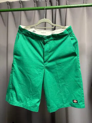 Dickies 디키즈 하프 팬츠 34