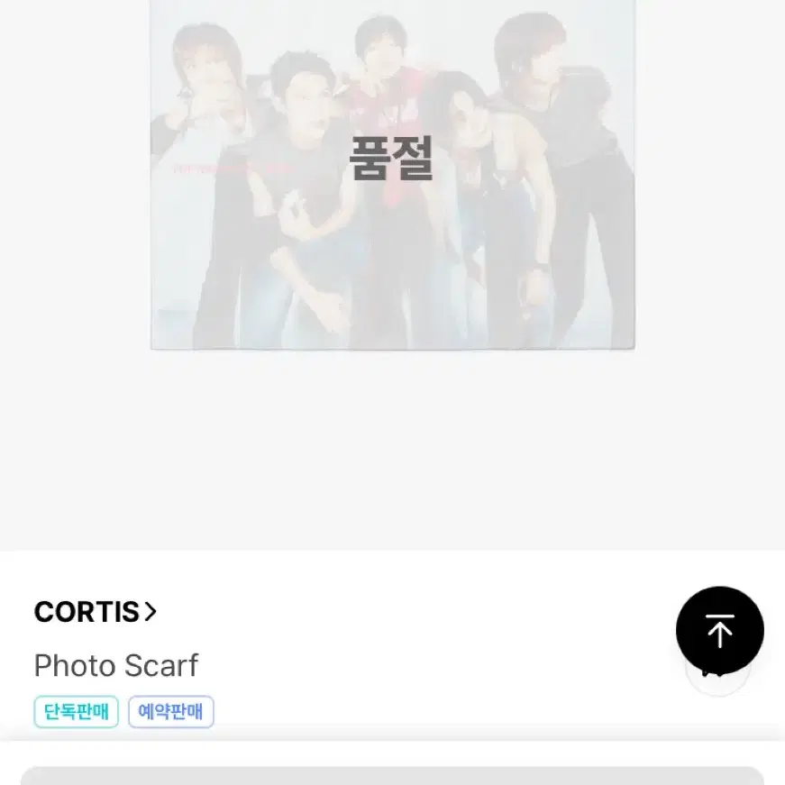 코르티스 포토 스카프 Photo Scarf