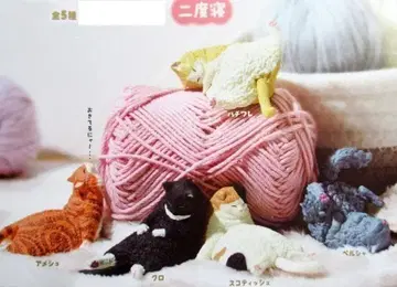 잠자는 고양이 졸려 졸려 아직 졸려 두 번 자기 총 5종