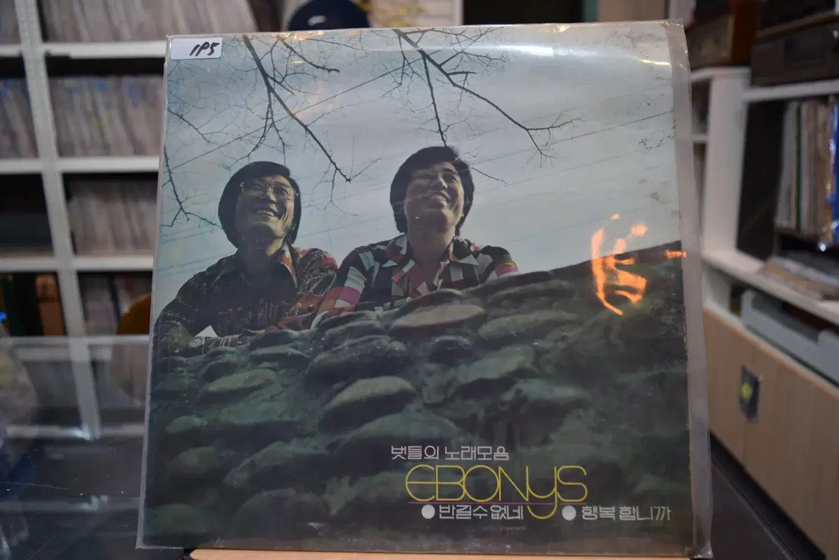 에보니스 민트 : 반길수없네