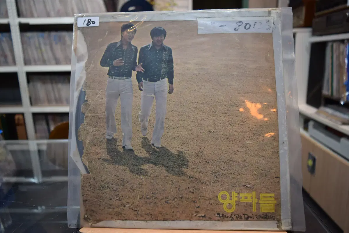 양파들 니어민트 : 돌에 핀꽃