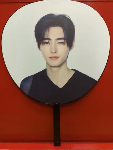 ENHYPEN WALK THE LINE IN JAPAN SUMMER EDITION SUNGHOON IMAGE PICKET