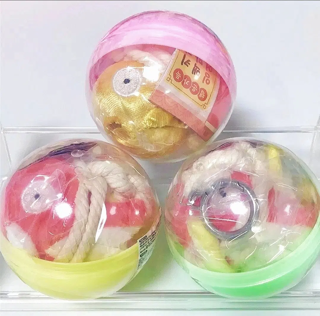 포켓몬 팝업 잉어킹 액막이 키링 가챠 황금 이로치 일반 3종세트