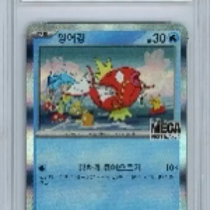 포켓몬 잉어킹 프로모카드 팔아요