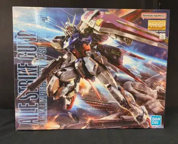 BANDAI SPIRITS MG 1/100 반다이남코판 에일 스트라이크 건담 Ver.RM/15+ 표기