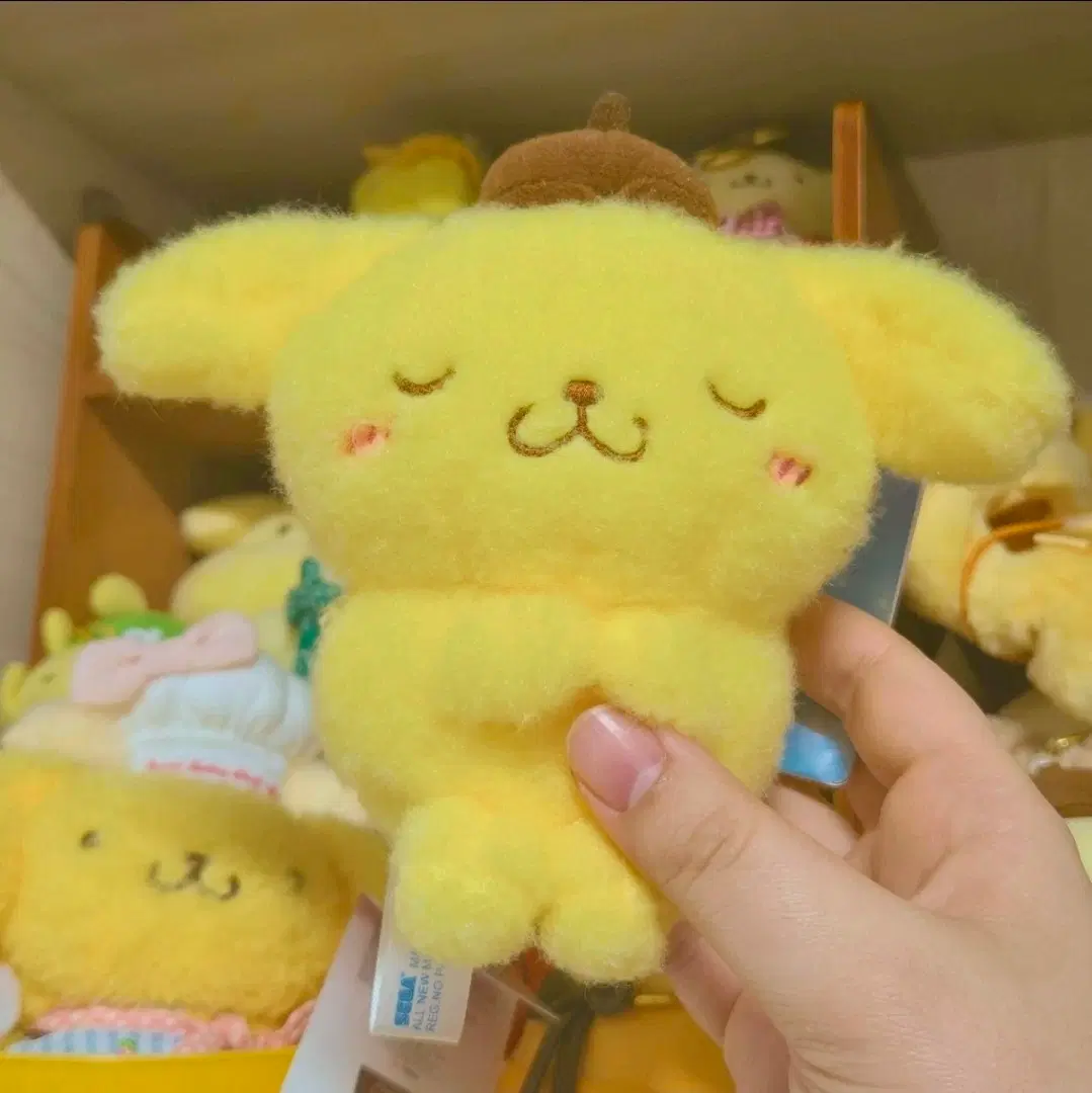 (희귀매물)폼폼푸린 유루카와 산리오 Sheep Dreamy 마스코트